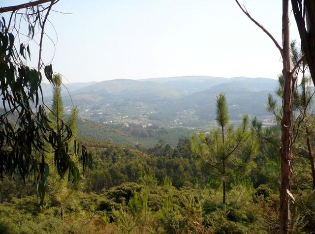 Caminho-Portugues-13-Ingrid-Moulaert-060-Custom