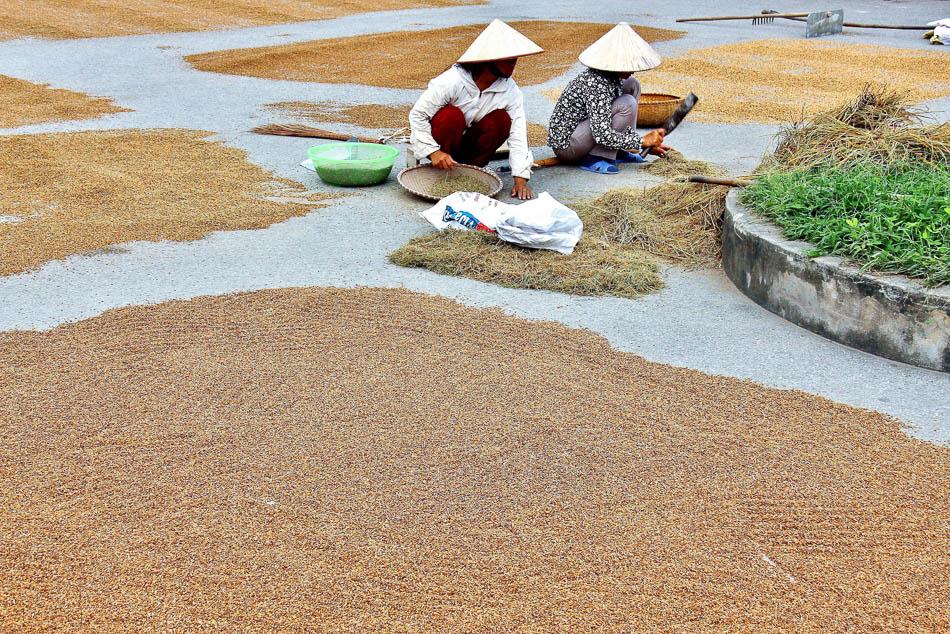 VN 92 Arne Vanwijnsberghe Arne Van Wijnsberghe W950