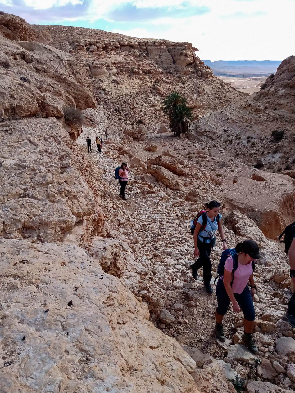 IMG 20221113 130730485 Selectie Nele Boon W950