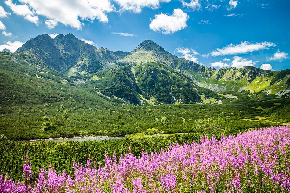 fotos-agent-slovakation-wetransfer_day-1-1-jpg_2022-11-30_1114_day-4.2_slovakation_w950