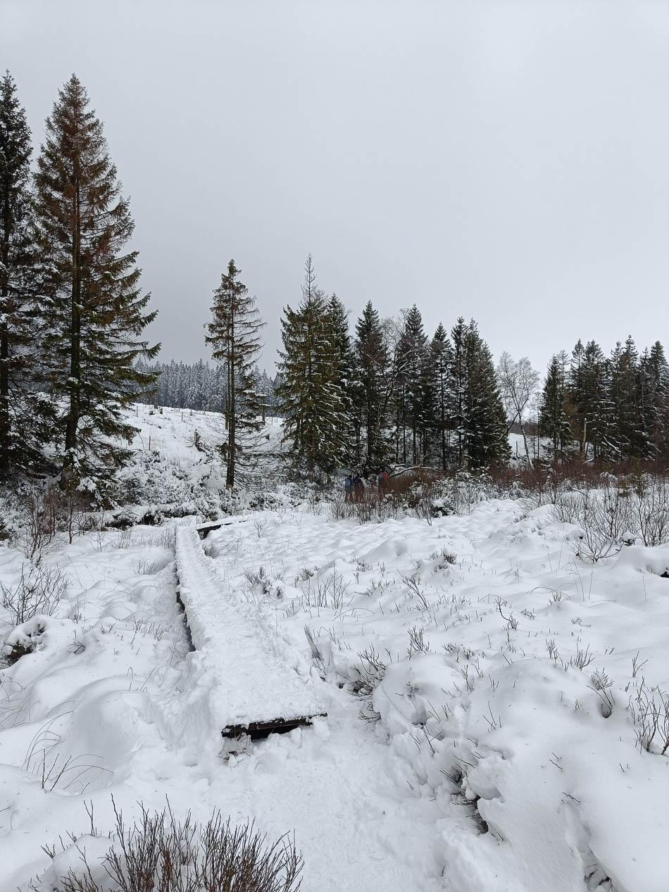 IMG20240121153621 Selectie Jolien Verhelst W950