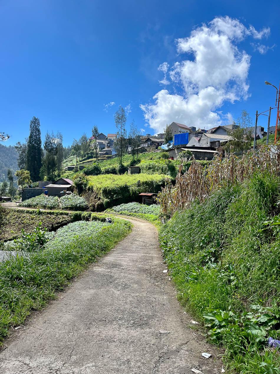 Image00015 Selectie Eveline Eveline Claes W950 Eveline Claes Eveline Claes W950