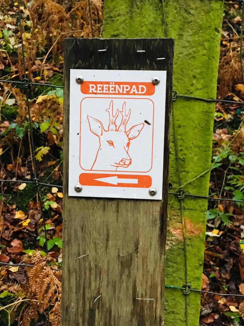 Foto-24-11-18-16-09-11_export