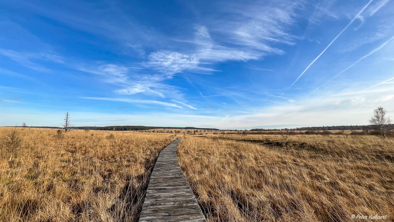 Venntrilogie 22 Ysebaert Peter Peter Ysebaert W1280