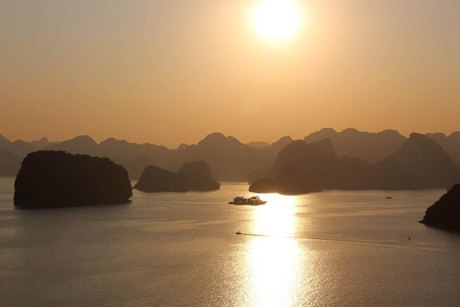 VN 362 Arne Vanwijnsberghe Arne Van Wijnsberghe W950