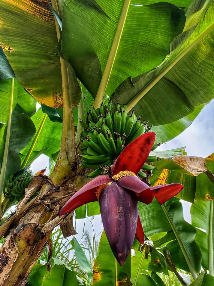 Achtdaagse IMG 20230131 WA0009 Frederik Vrijs W950