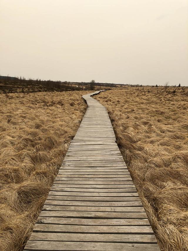 Caillebottis Dans Les Hautes Fagnes(C)Www.Ostbelgien.Eu Toerismus Ostbelgien Met Toestemming Toerismus Ostbelgien W950