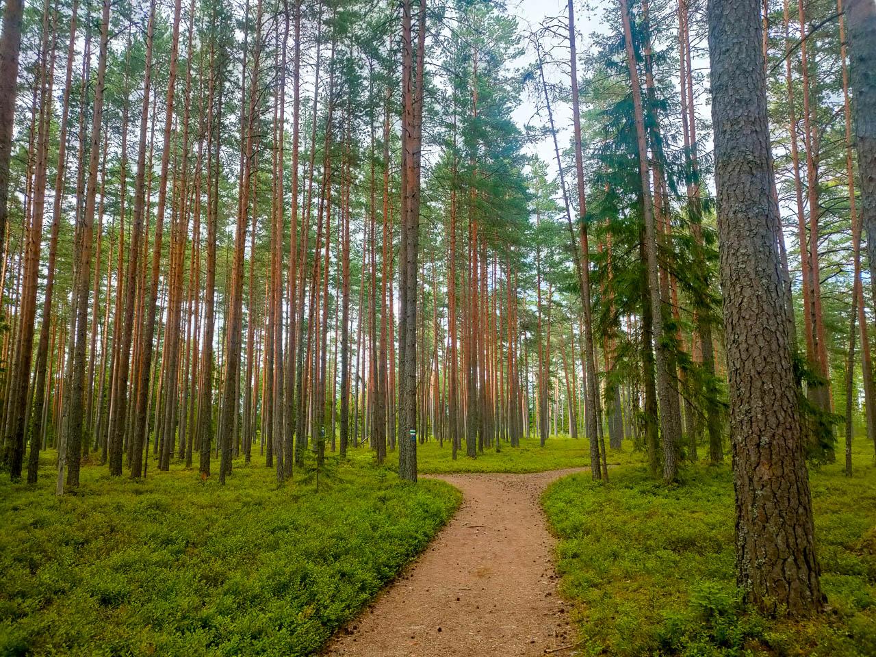 Femke Cnudde IMG20220724190054 Femke Cnudde