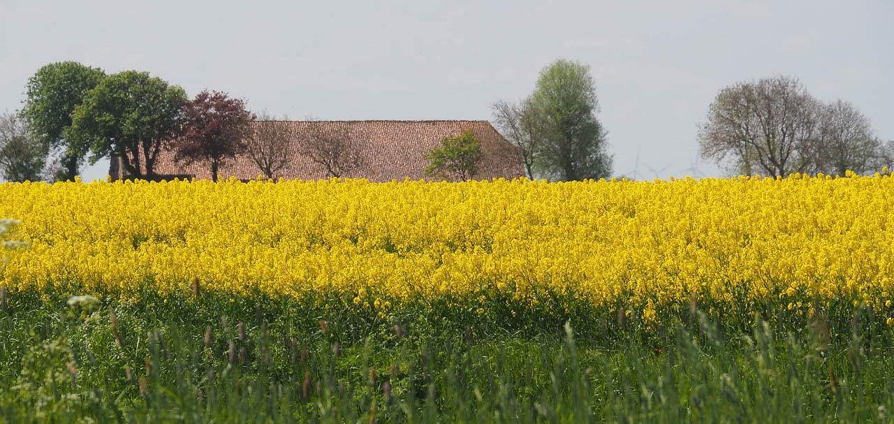 Myrthe Felten Groningen Bootz Myrthe Felten (1) Myrthe Felten