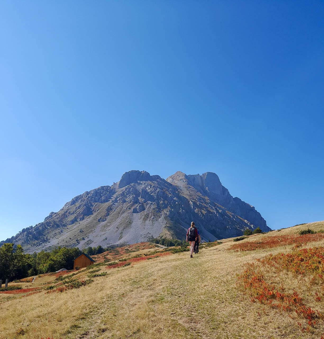 Edwin Vriesema Edwin Vriesema (4) Edwin Vriesema