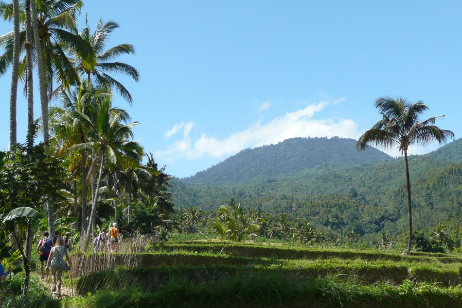 Indon-jong-08-Saartje-De-Neve-P1020395_export_w950