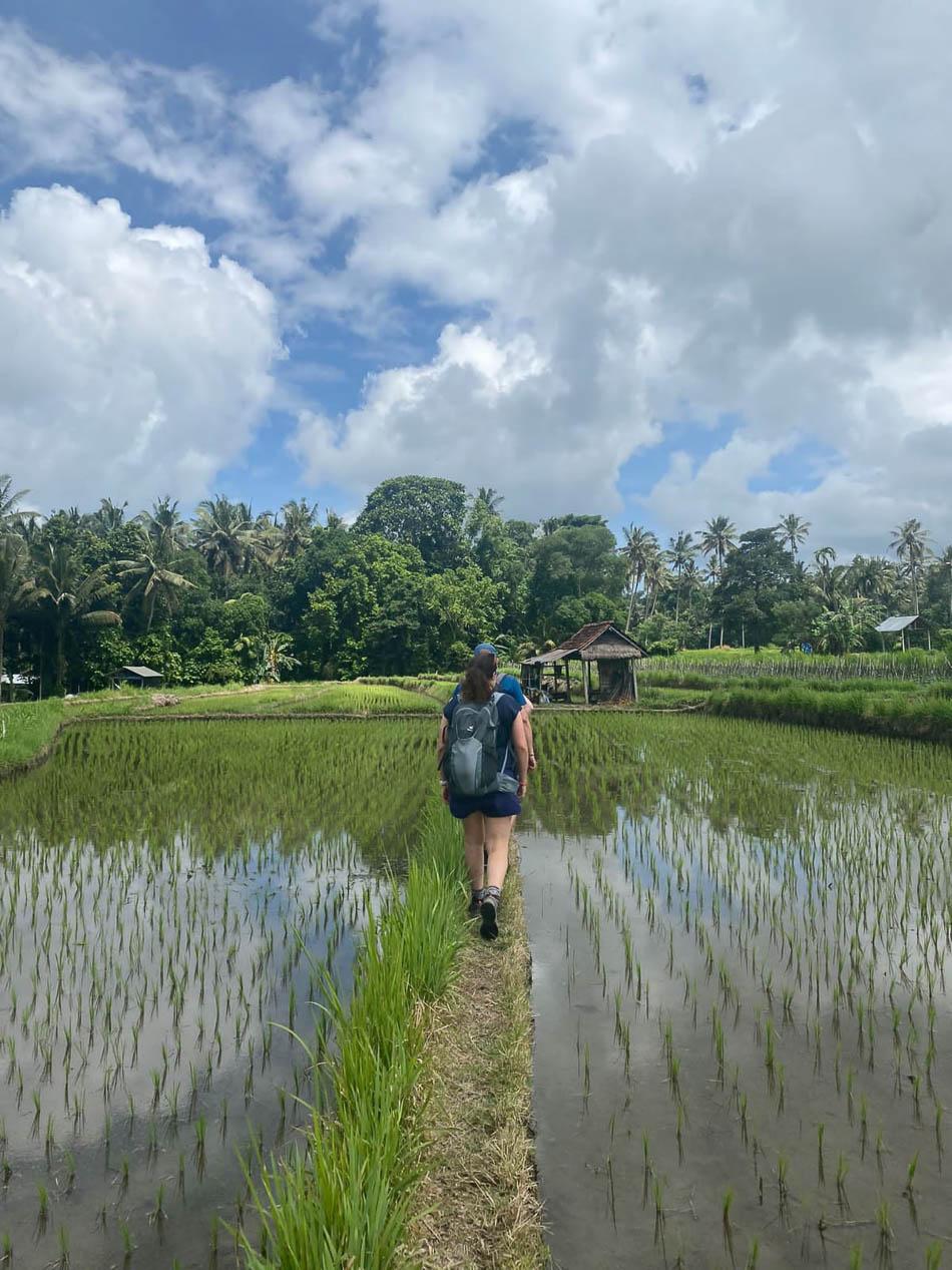 Whatsapp Image 2024 05 01 At 03.56.48 Selectie Joker W950