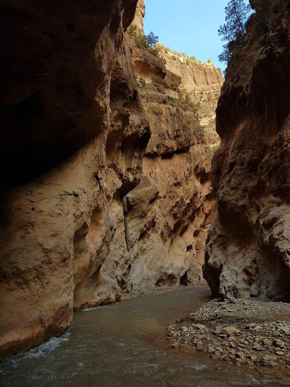 20231027 164730 Selectie Charlotte Stevens W950