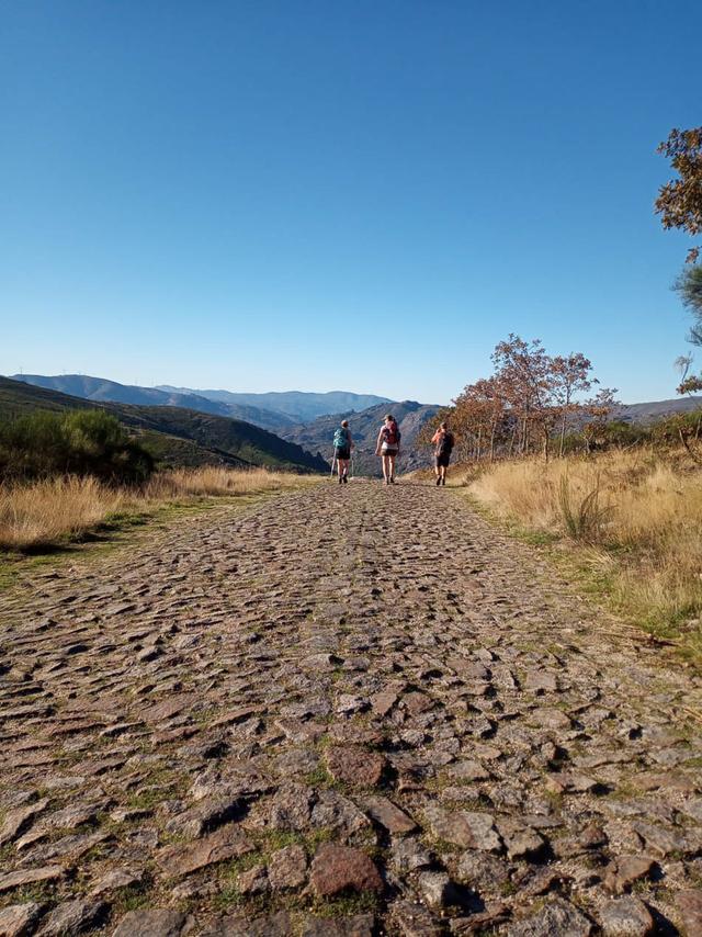 B2213F87-1DAD-4DD5-AE1C-C6A22783C27E-Selectie-Sam Vermeire-w950