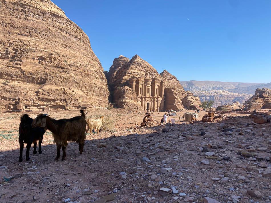 IMG_4997-JO4AAA Ward Plettinck-Ward Plettinck-w950