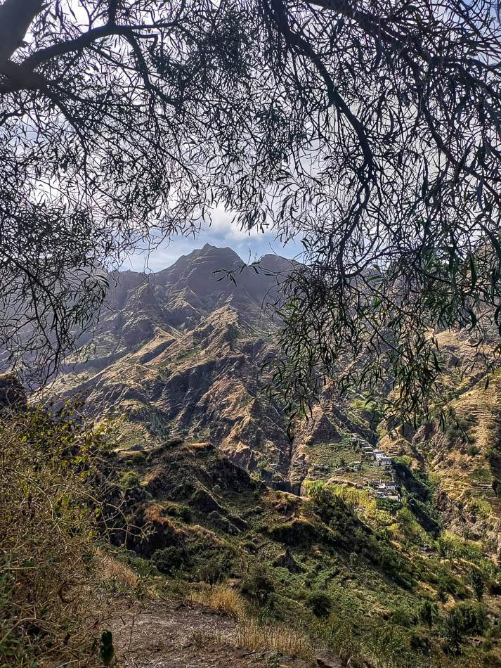 Achtdaagse IMG 20230201 WA0007 Frederik Vrijs W950