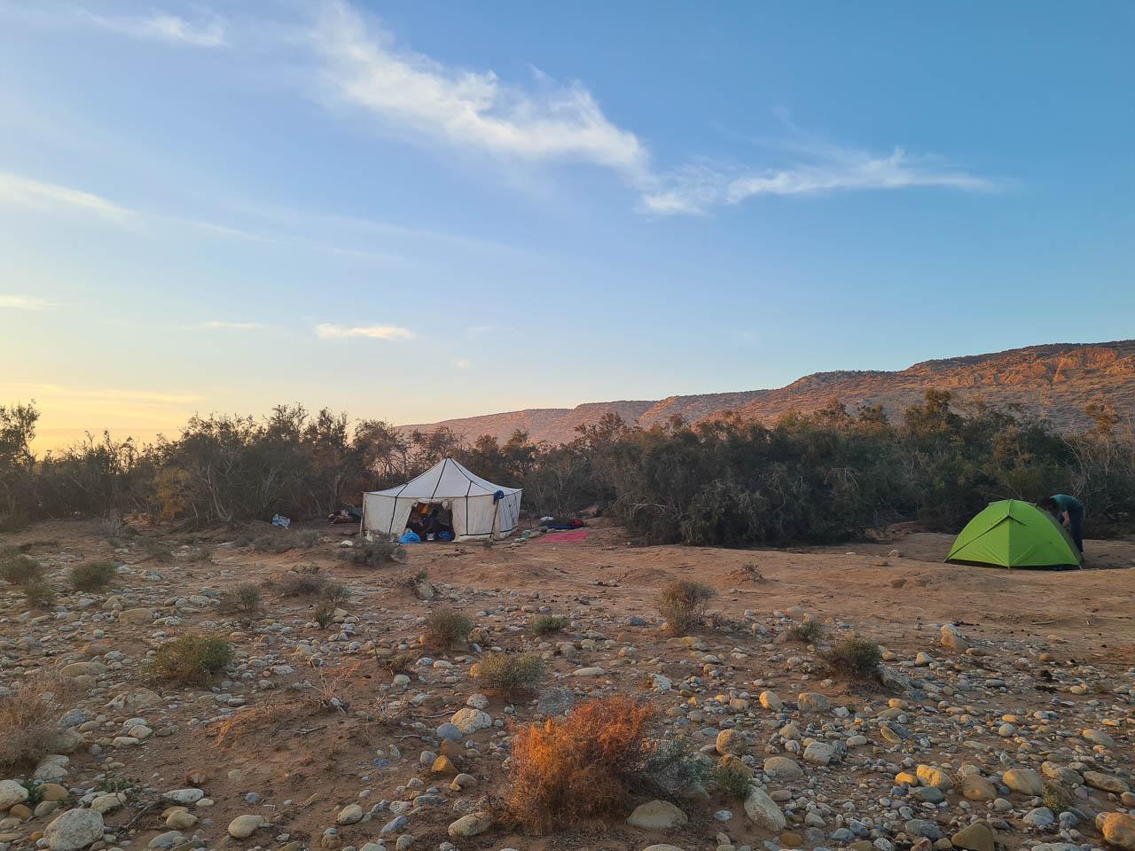 Ine Dutry Ine Dutry (4) Ine Dutry