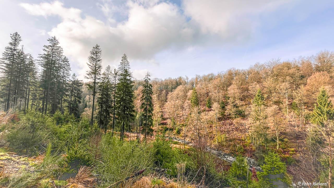 Venntrilogie 16 Ysebaert Peter Peter Ysebaert W1280