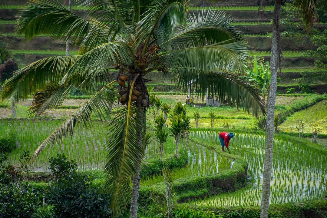 IDGI 2019 Jeroenvereyser (3) Jeroen Veryser 1080