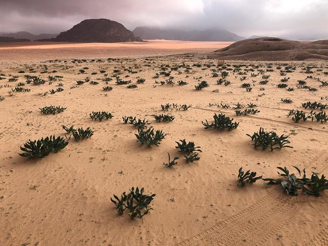 JO4AAA Thomas Durbin-IMG_0297-Thomas Durbin-w950