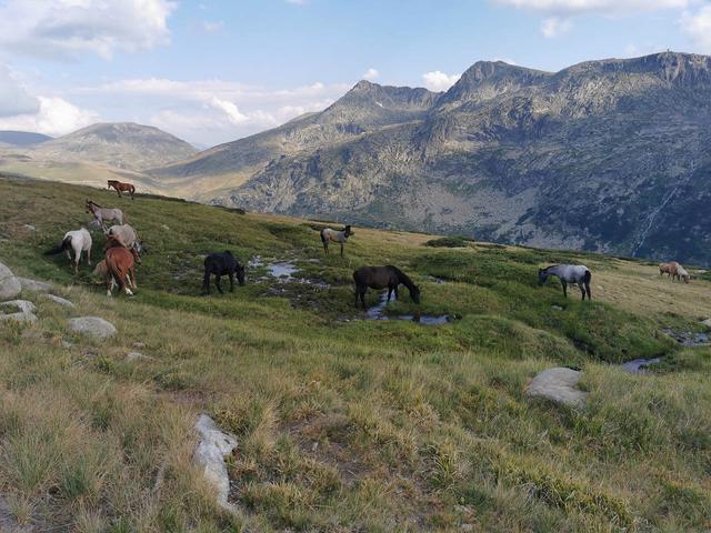 RILA IVAN VAZOV Hut July 2024 LP (5) Selectie Odysseia W1280