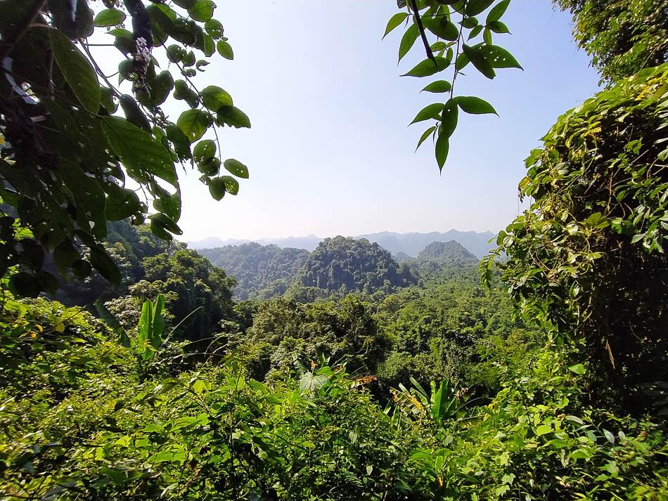 IMG 20241110 121234 Charlotte Charlotte Stevens W950