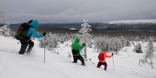 Snowshoeing-FW_ Offer Lapland trip feb 2024 Anders Reizen-Yllas-w950