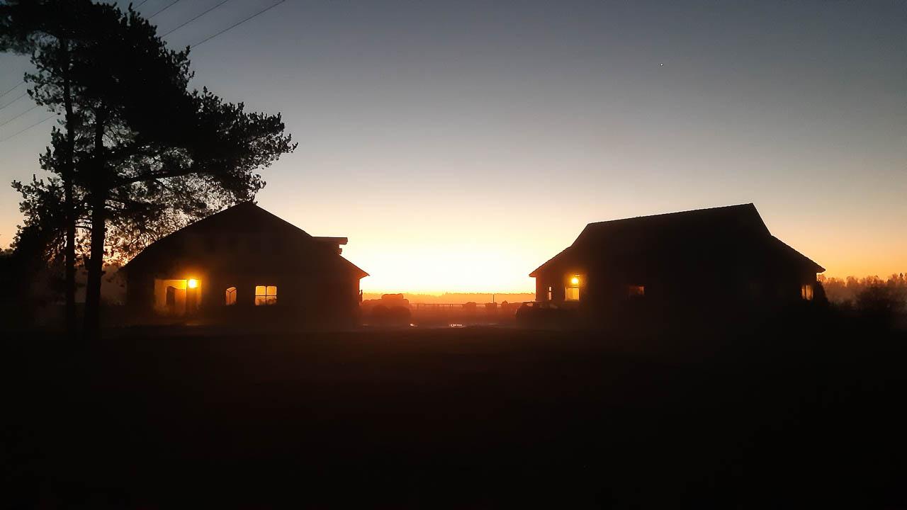 Femke Cnudde 20201107 070221 Kopie Femke Cnudde