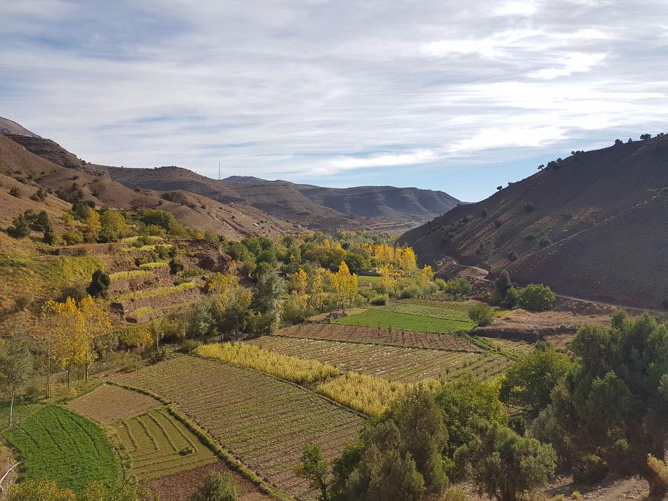 20231027 103433 Selectie Charlotte Stevens W950