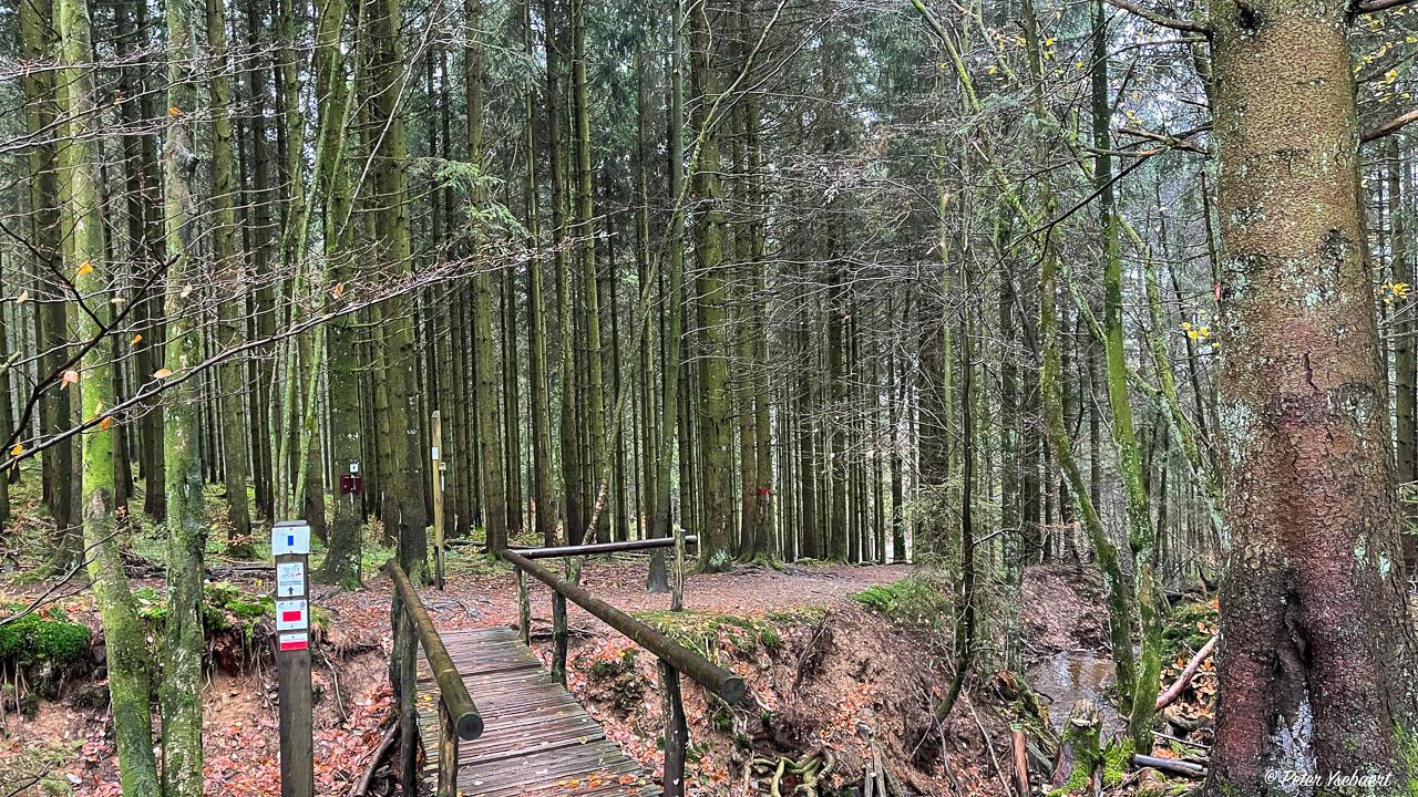 Venntrilogie 26 Ysebaert Peter Peter Ysebaert W1280