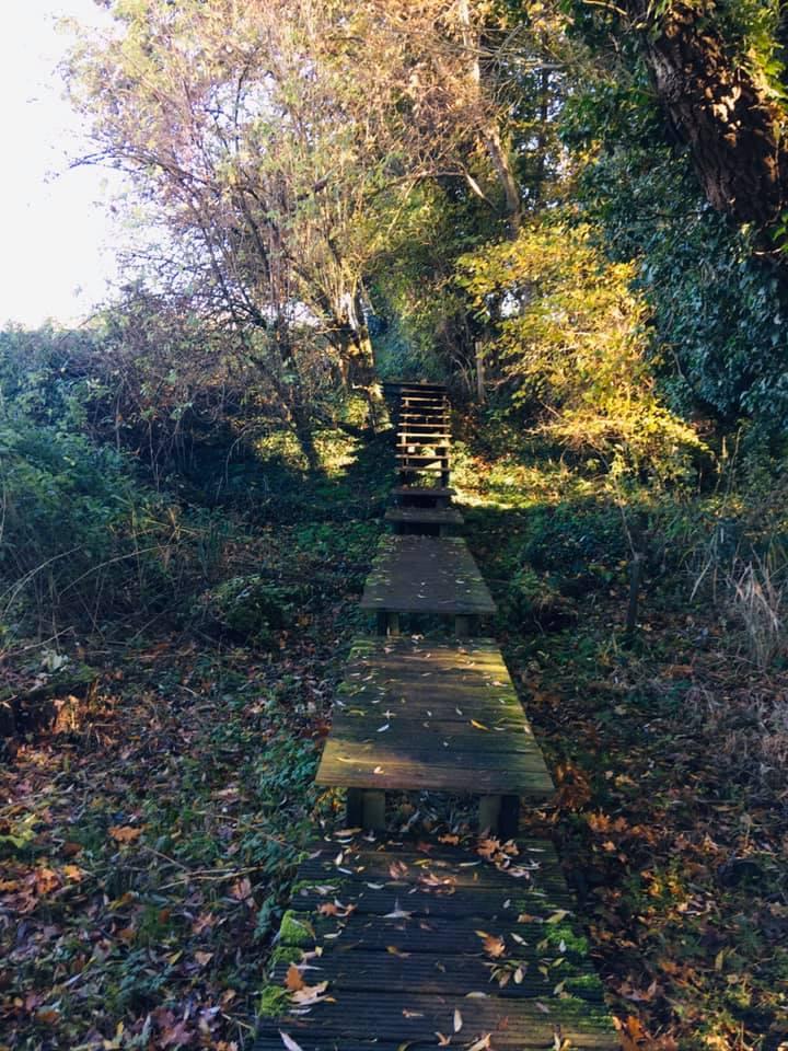 76781354_10219028988854244_5061001221779750912_n