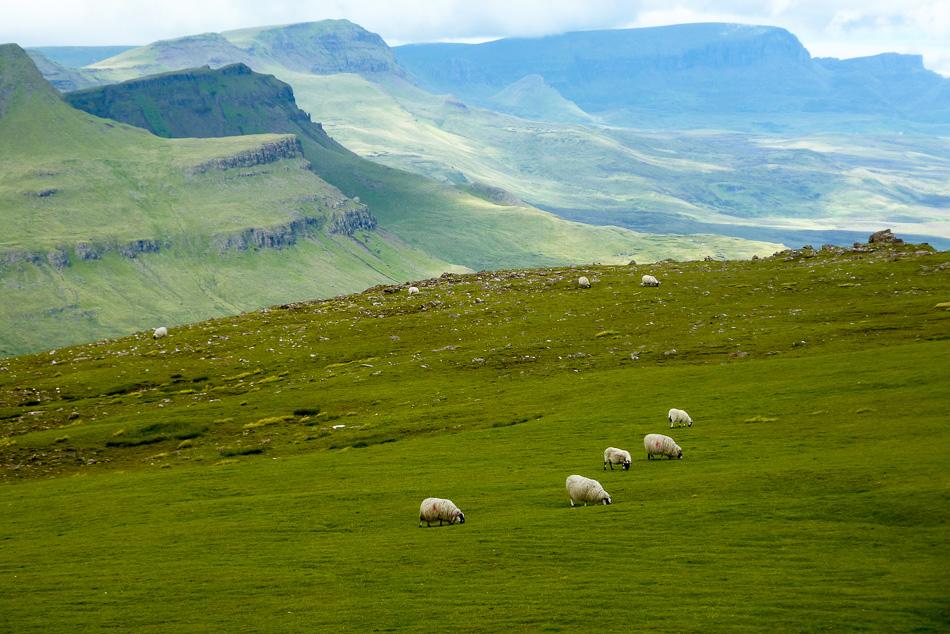 IND11-34-Schotland-Kris-Vanloo-P1000466_export_w950