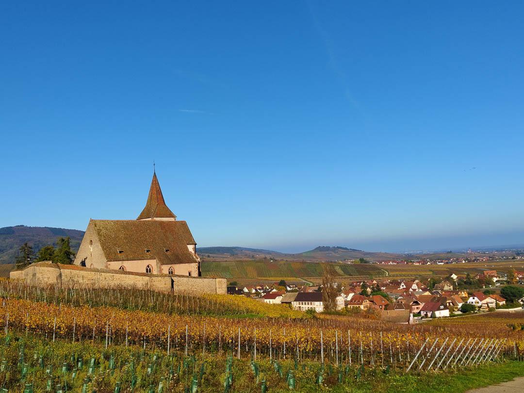 FR4VGB Stefvancampenhout 2024 (2) Stef Van Campenhout 1080