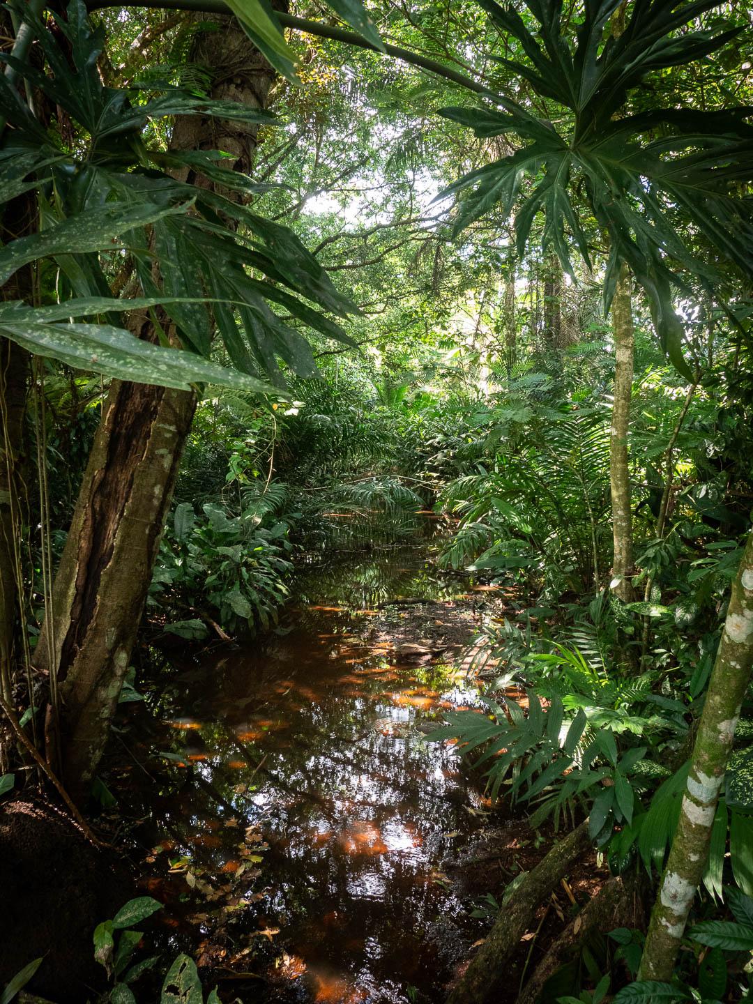 CRAT 23022024 Julie Leyers (39) Julie Leyers 1080