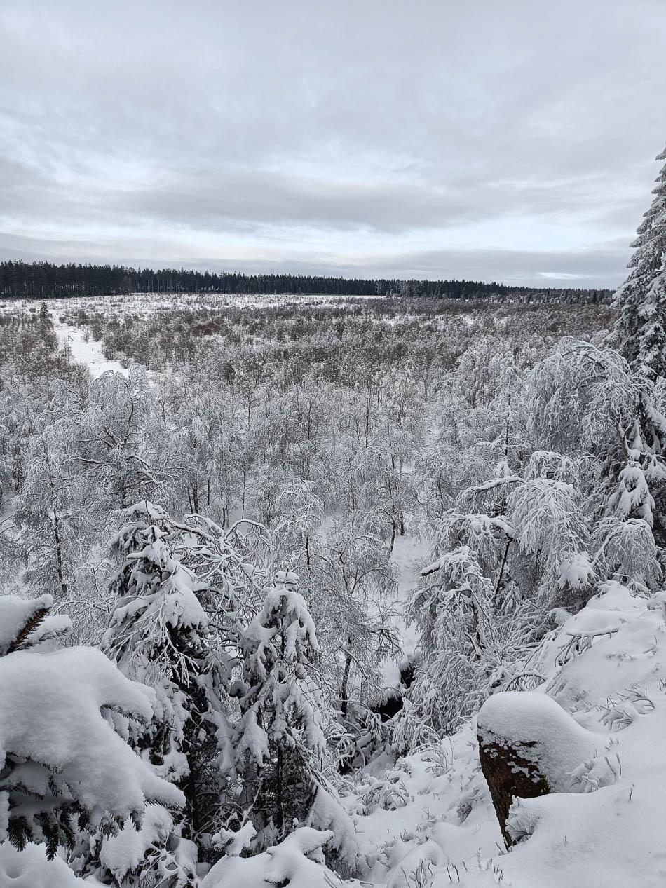 IMG20240121110855 Selectie Jolien Verhelst W950