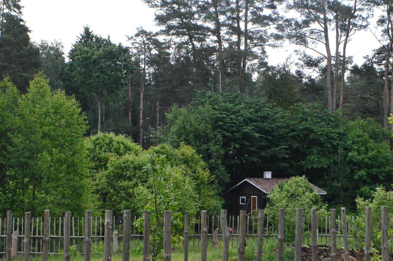 Femke Cnudde DSC 0504 Femke Cnudde