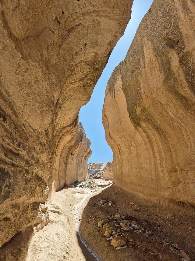 Selectie Mieke Van De Vijver (1) Mieke Van De Vijver