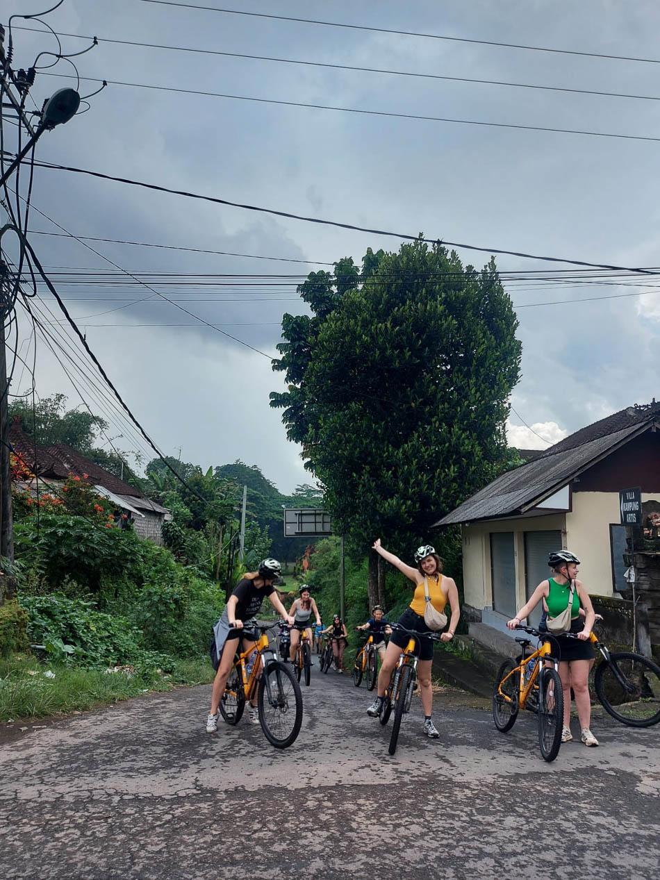 Bbb75556 9Aa0 4B69 A44c D861d49bc41c Selectie Joker W950