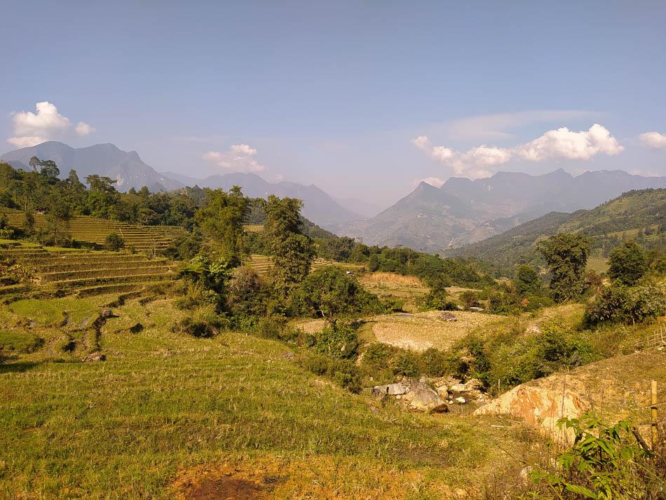 IMG 20241104 091329 Charlotte Charlotte Stevens W950