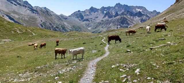 20230726_124108-Filip Dehaene-Filip Dehaene-w950