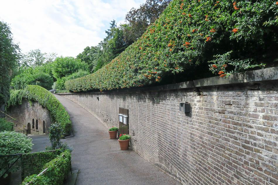 foto Keulen_files_IMG_6014_Dirk Smets_w950