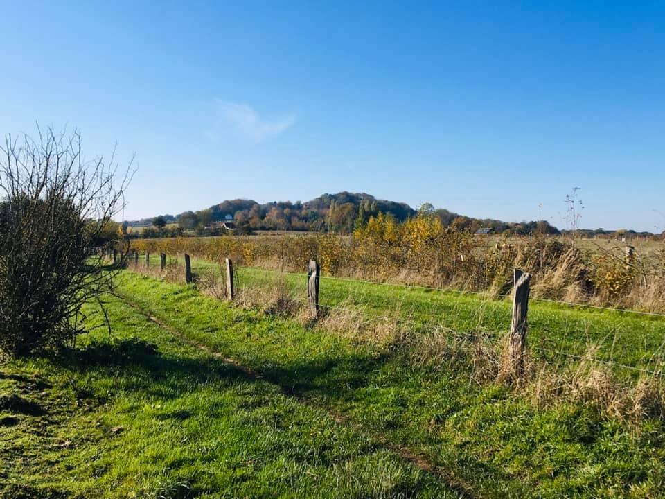 76605009_10219028988774242_65943991559913472_n