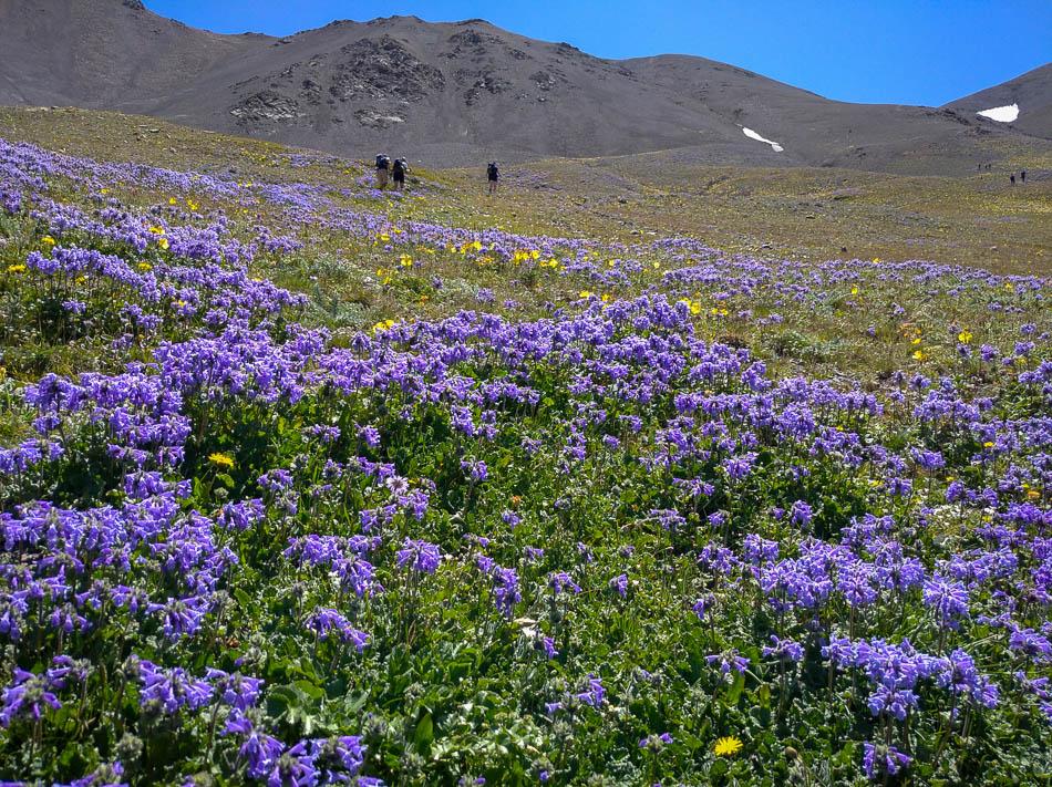 IMG 20220722 130207 1 Kirgizië Selectie Olivier Van Hoey W950 (1)