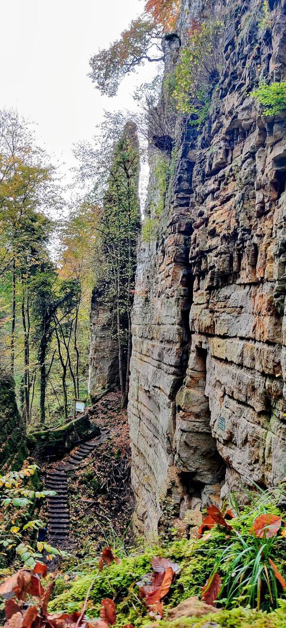 Nancy Deceuninck Nancy Deceuninck (1) Nancy Deceuninck