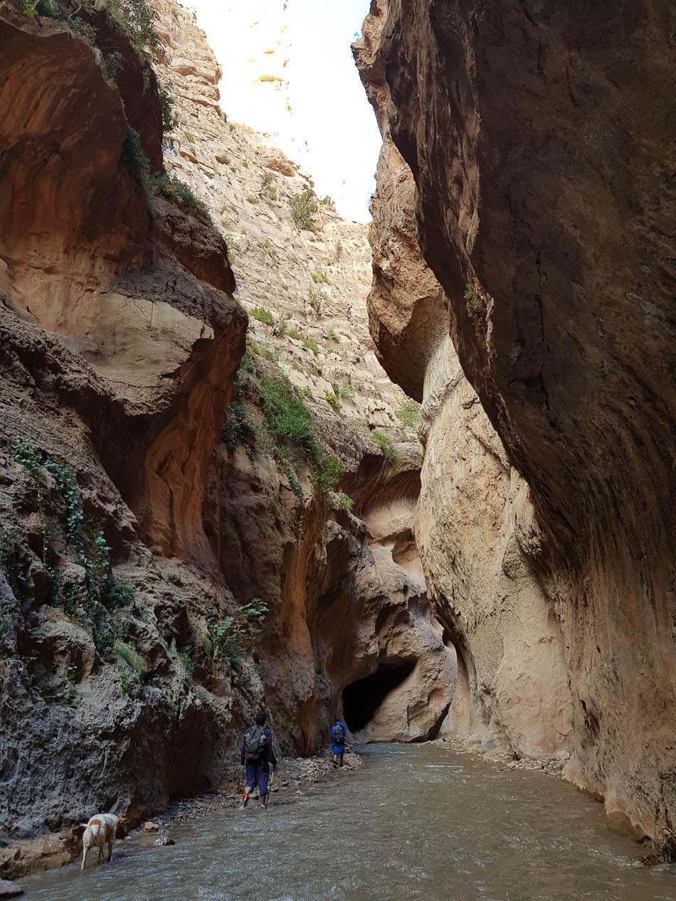 20231027 164640 Selectie Charlotte Stevens W950