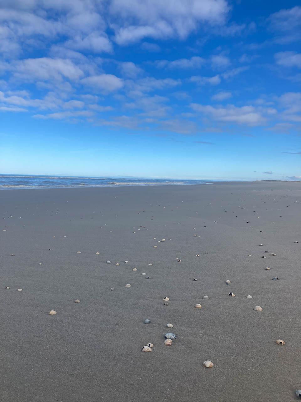 Myrthe Felten Groningen Bootz Myrthe Felten (15) Myrthe Felten