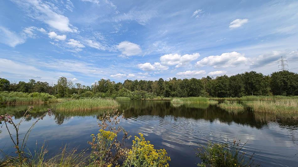 PXL 20240719 131114037 Selectie Thomas Michiels W950