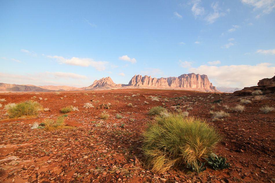 Wadi-Rumtrekking-14-Arne-Van-Wijnsberghe-Wadi-21_export_w950