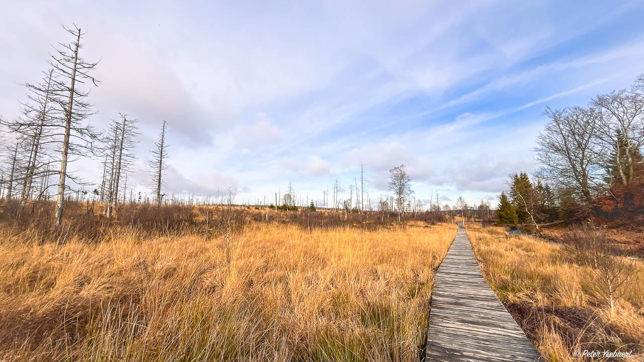 Venntrilogie 19 Ysebaert Peter Peter Ysebaert W1280