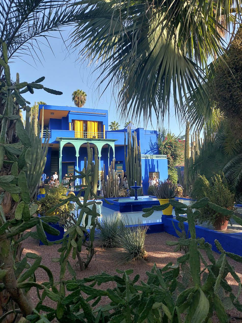 Christophe Jansen Selectie Christophe Jansen W950